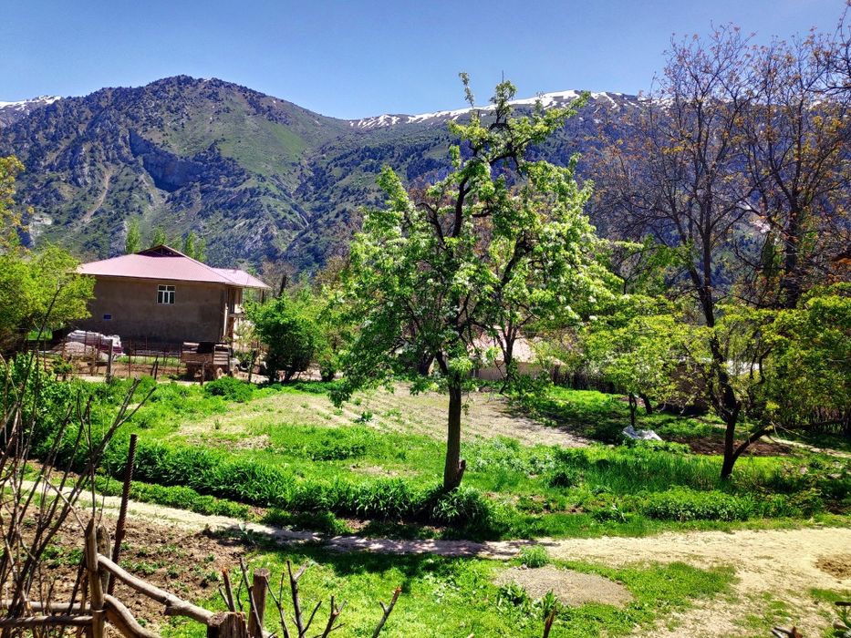 Uchastka sotiladi, Nefrit ko'liga yaqin joyda joylashgan