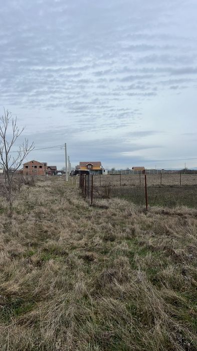 Vând teren intravilan în localitatea Dragsina (Timiș)