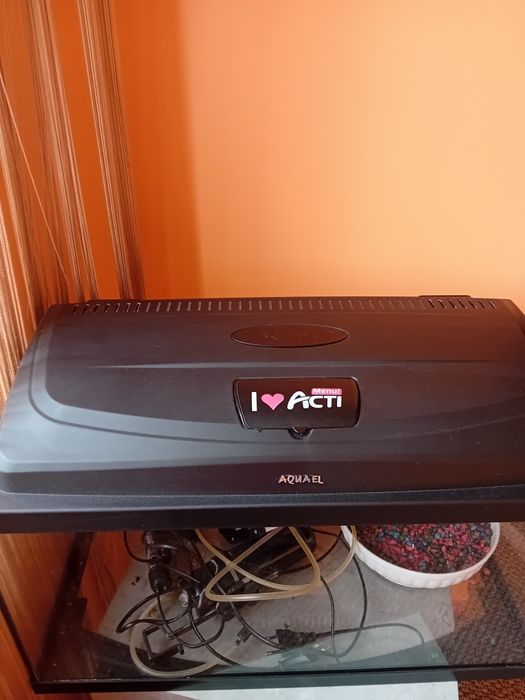Vând acvariu pești