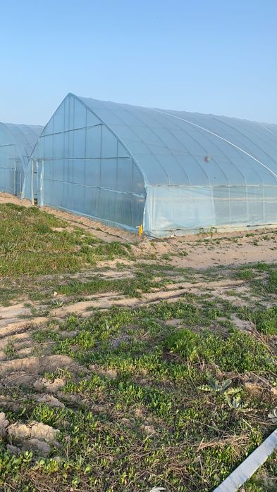 Теплица производства Южная Корея