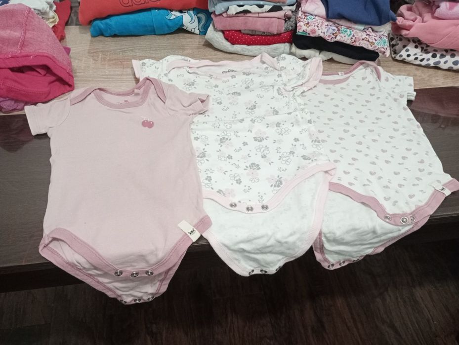 Vand lot primavara 1-2 ani