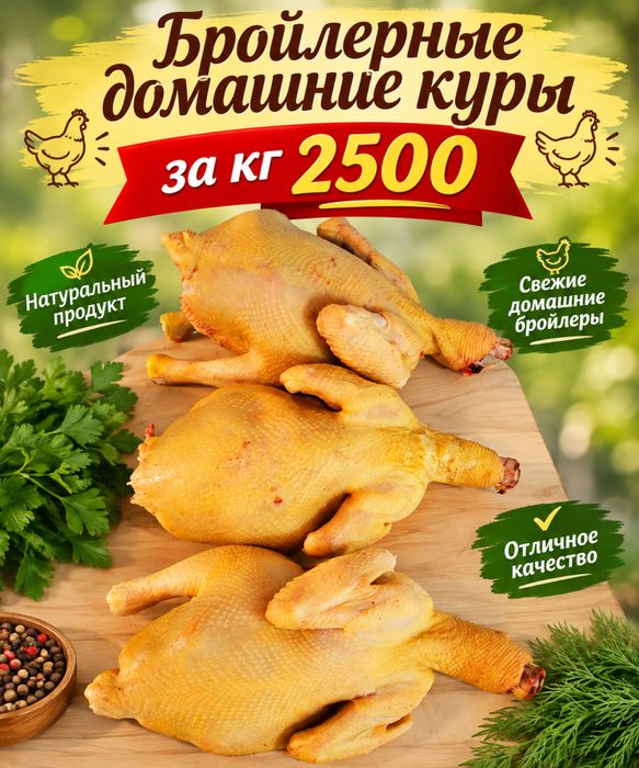 Мясо домашней бройлерной курицы
