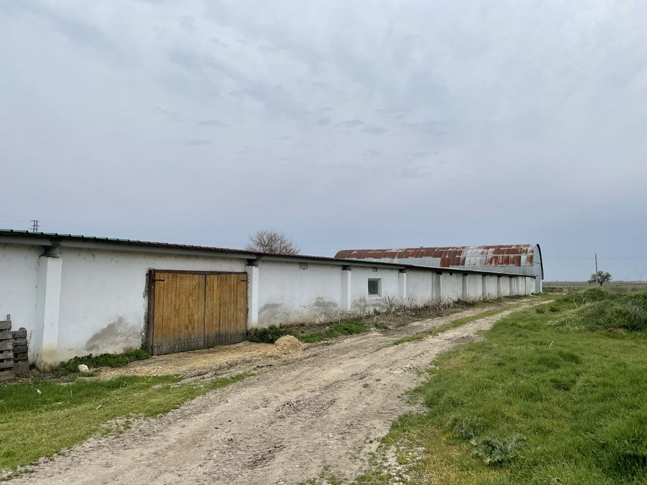 Животновъден обект