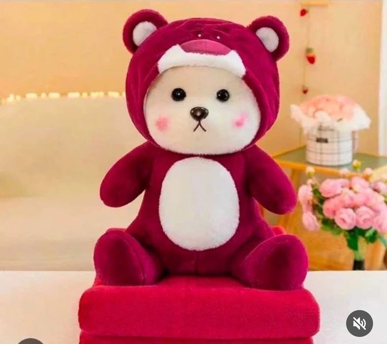 Мишки с пледом 3в1