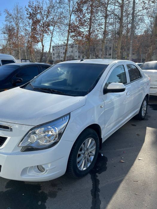 Cobalt Avtamat  2023