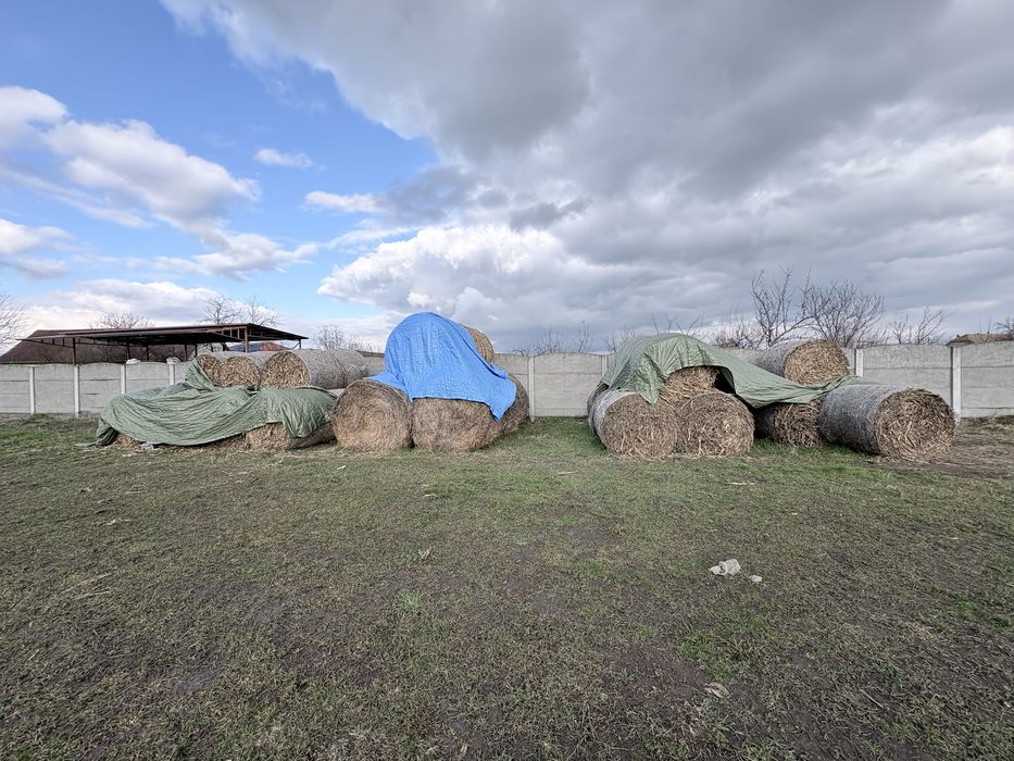 Baloți de tulei 40 de buc !!