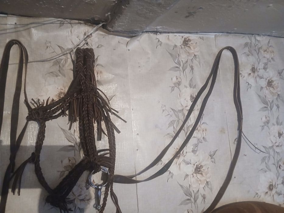 Уздечки новые ..