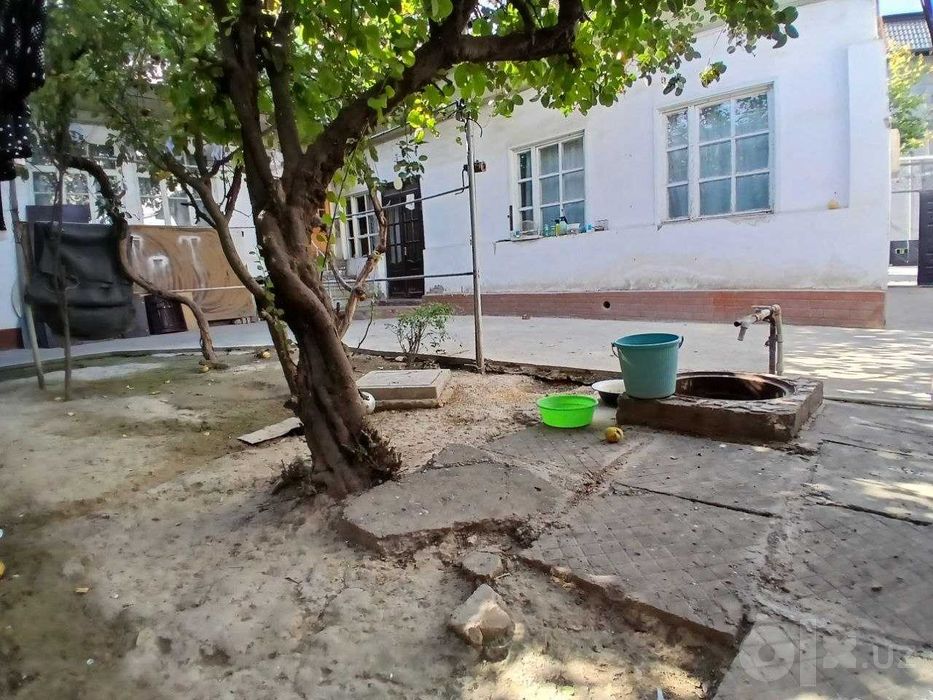 Продажа 6,5 соток БИЙ Дагестанский №К82