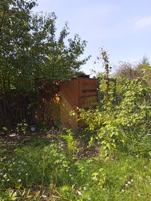 Дача сад Северный