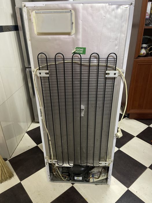 Congelator Arctic