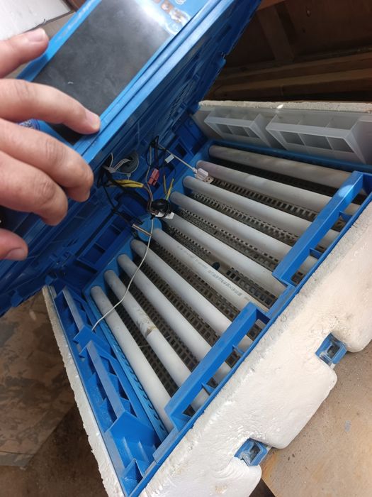 Продаёт инкубатор