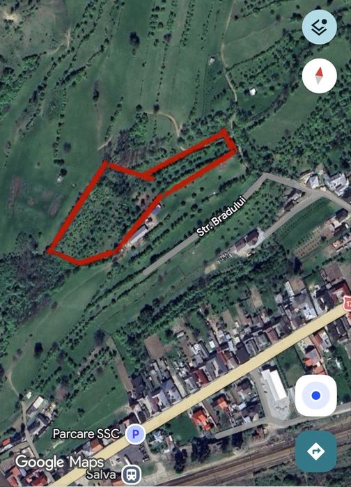 Livada pomi fructiferi - Salva