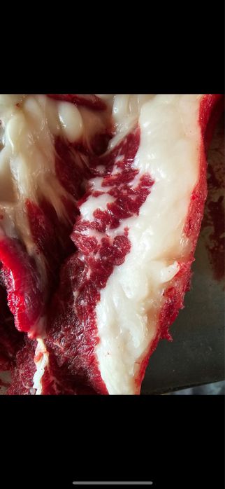 жылқы еті жілікке 2600тг