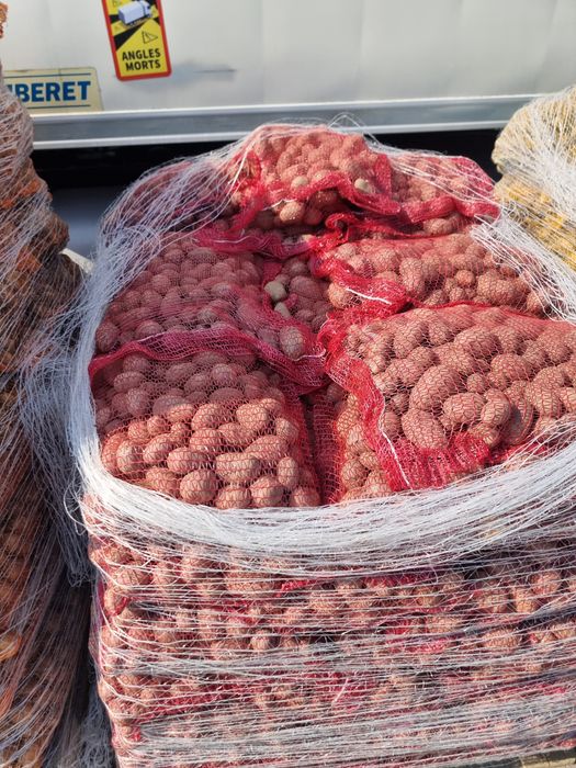 vand cartofi de samanta covasna