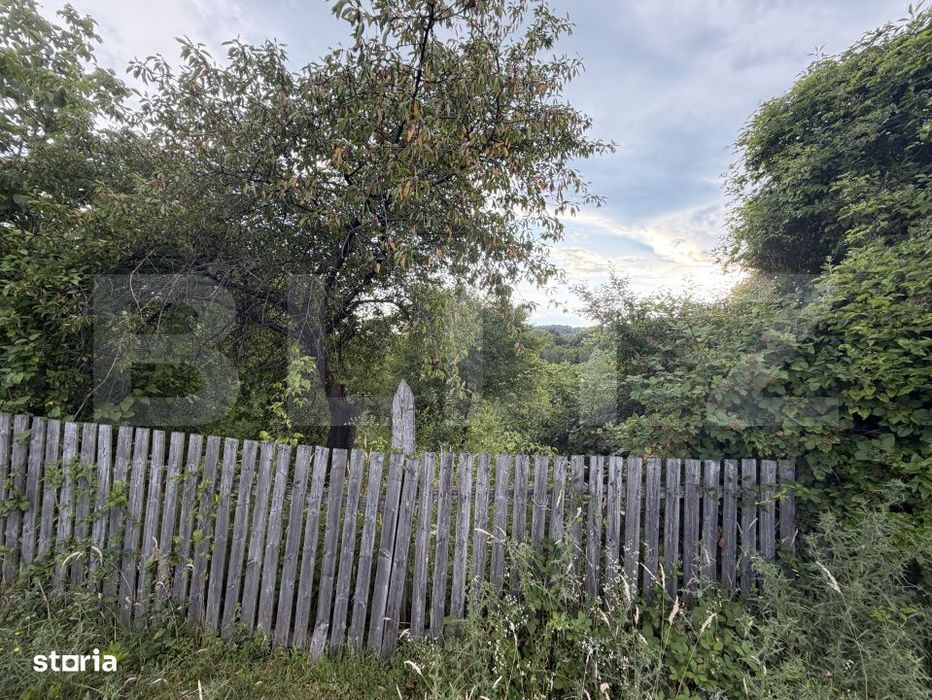 Teren 1600 mp, zona Schela