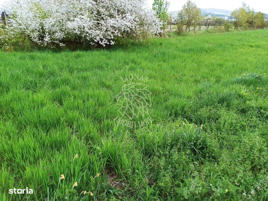 Teren intravilan 2515 mp cu utilitati- Zona Valea Castailor