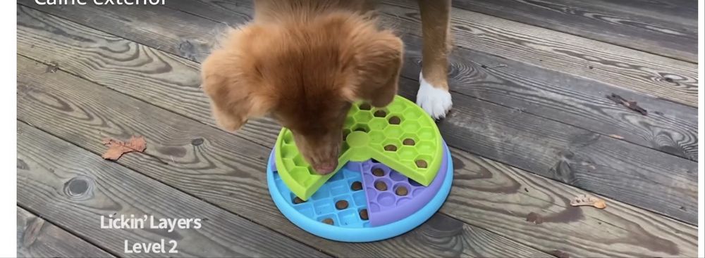 Hrănitoare puzzle pentru câini și distribuitor de recompense