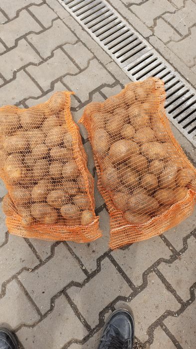 Vand cartofi consum sí cartofi samanta pentru animale