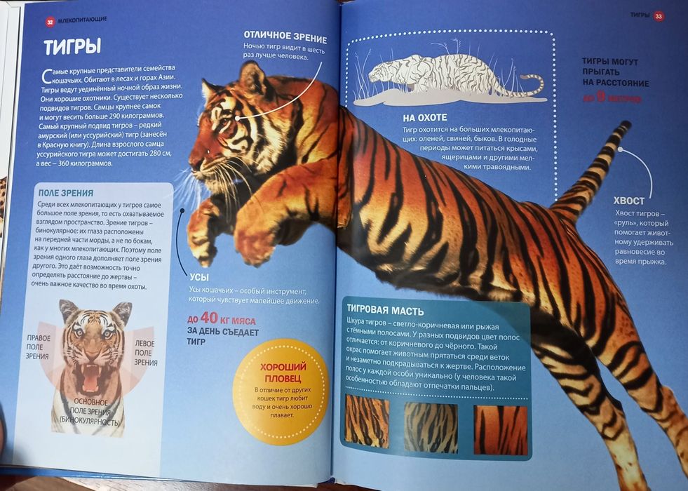 Детские книги. Новые