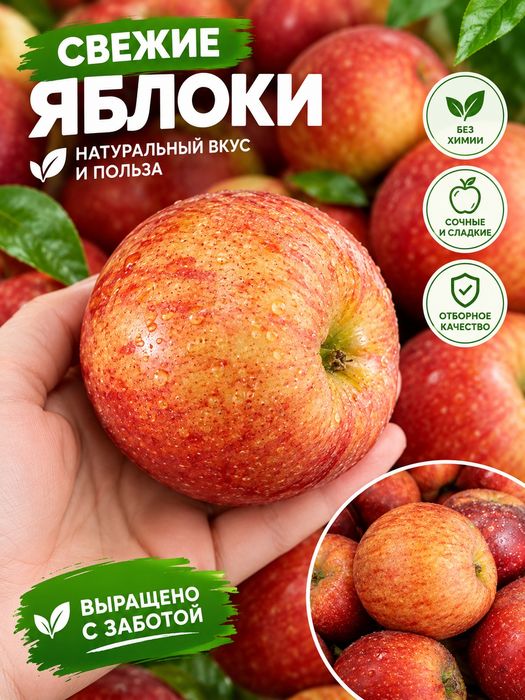 Яблоки, сладкие. Сорт Американка .