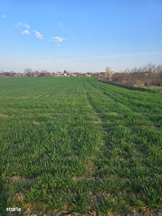 Teren intravilan Lazuri