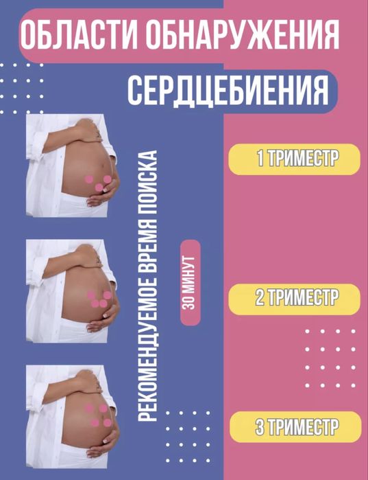 Доплер для беременных узи плода