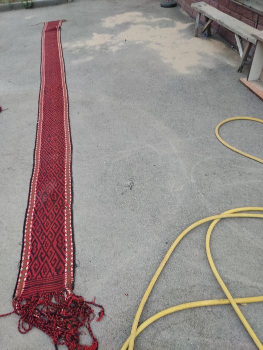 Набережные Челныдегі моншадағы порно (бейне)