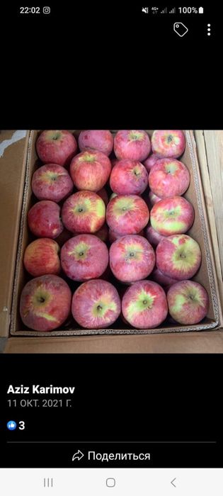 Апорт Алматинский!