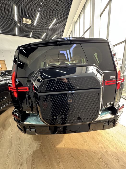 Dongfeng M HERE M817