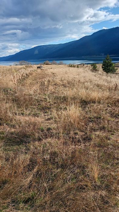 Земеделска земя гр.Сърница Родопите