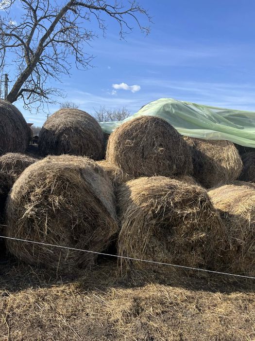 Vând baloți de fân