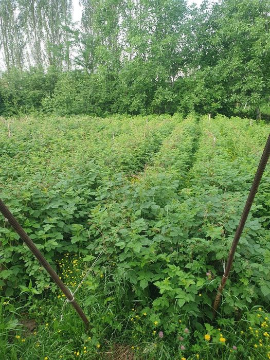 Uy sotiladi qulay joylashuvdagi