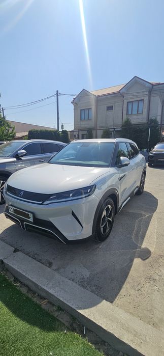 Byd Yuan Up 2024