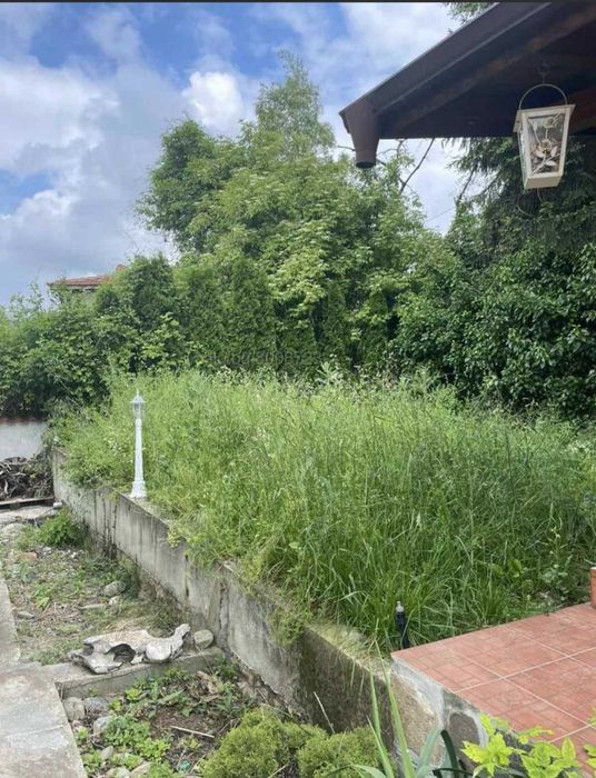 Поддръжка на тревни площи