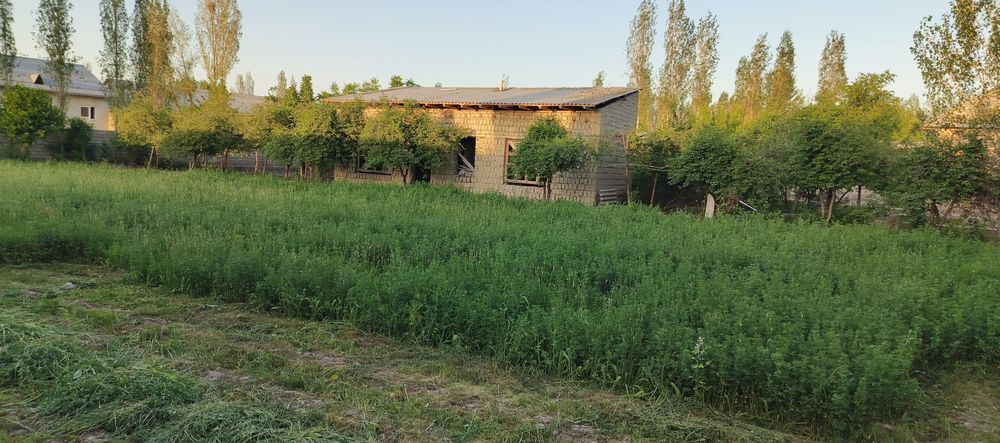 Samarqand viloyati Jomboy tumani uchastka