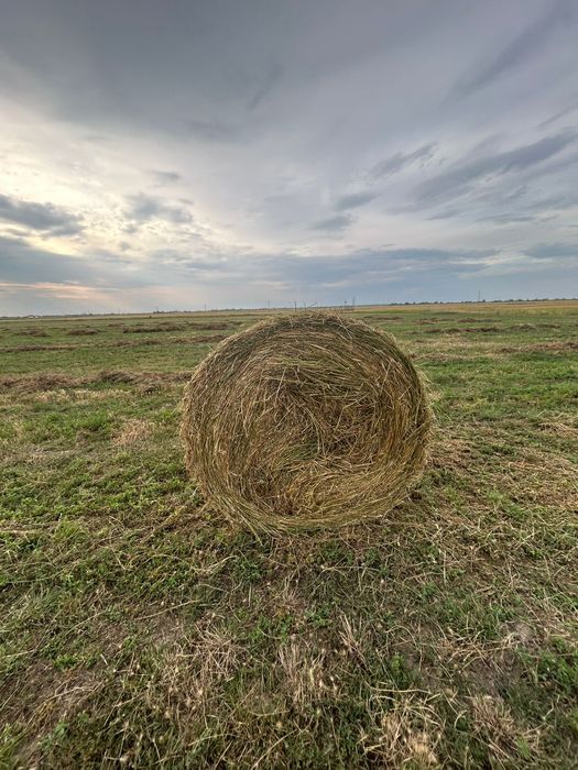 Baloți de vanzare