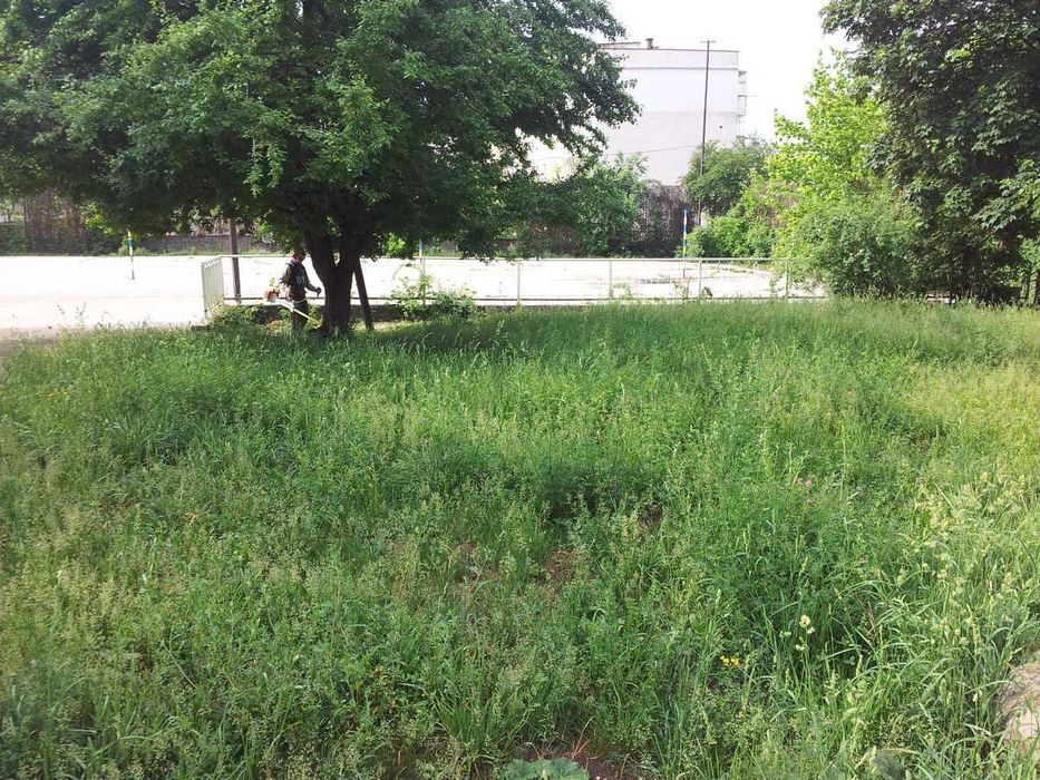 Косене на трева и поддръжка на дворове в София – бързо и качествено