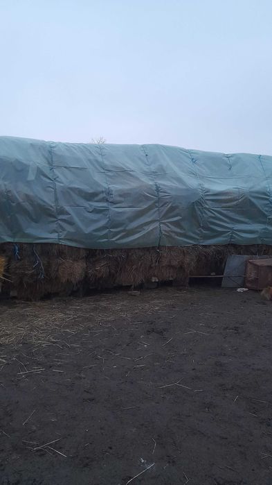 Baloți lucernă și ovăz de vânzare