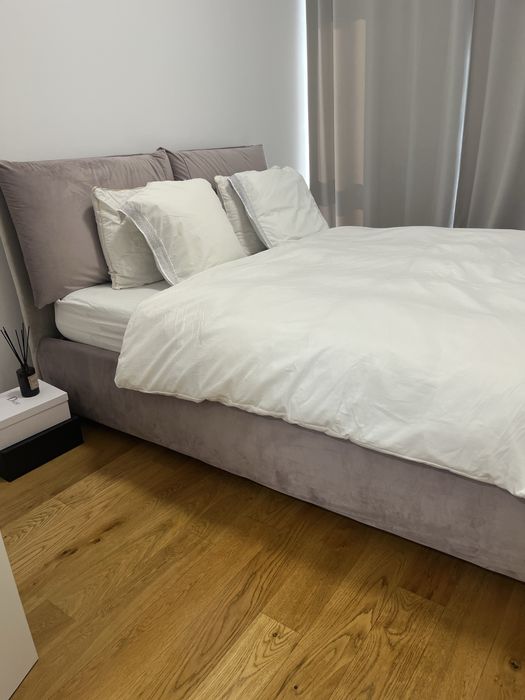 Apartament de inchiriat “Pet friendly”