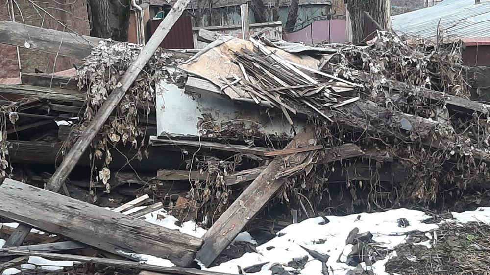 Дрова даром. Много. Самовывоз