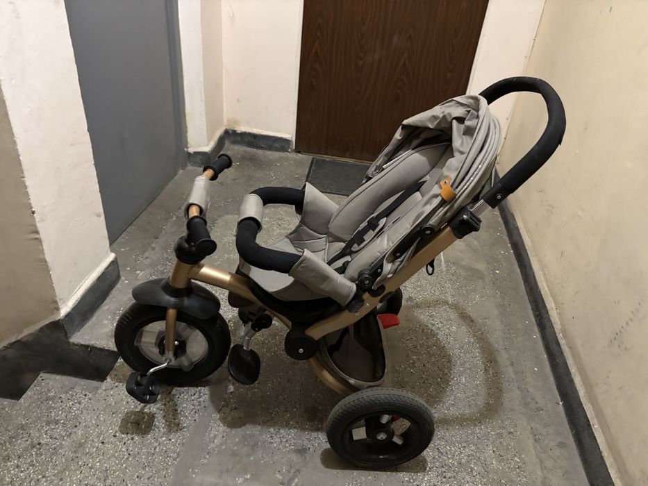 Триколка chipolino