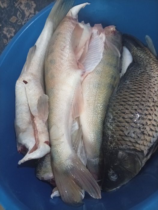 Фарш,рыба,ребра.