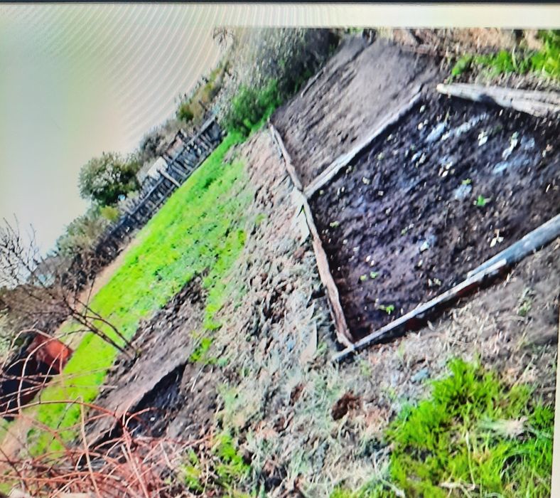 Сдам дачу. В сторону аэропорта