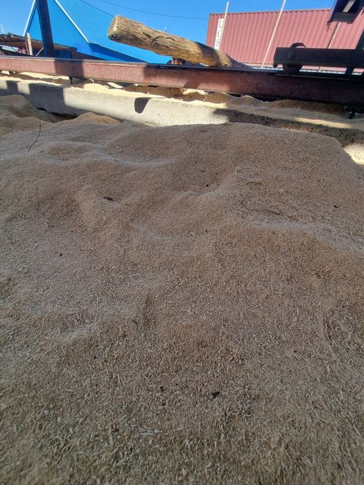 Апилка аапилкааааа