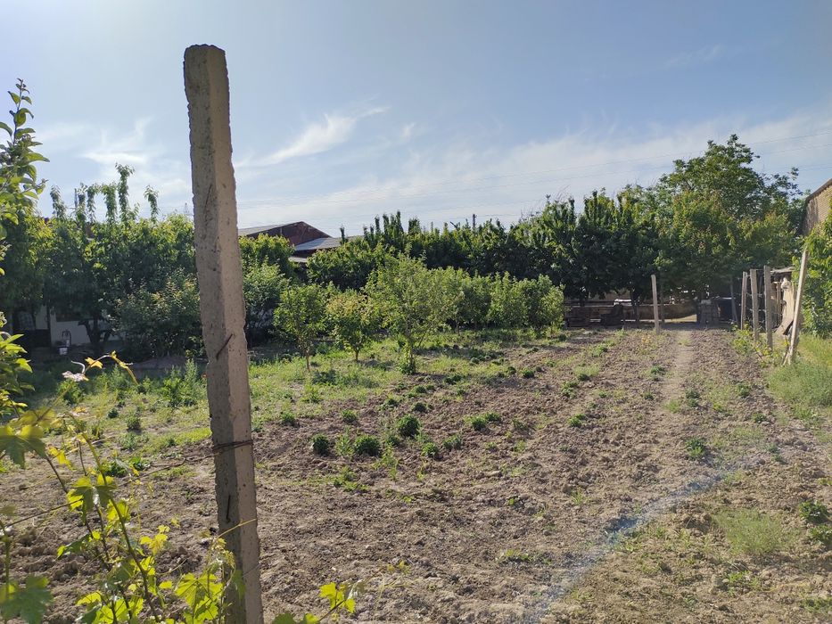 Yer sotilad. Земля продаётся. Янги 16 йиллик