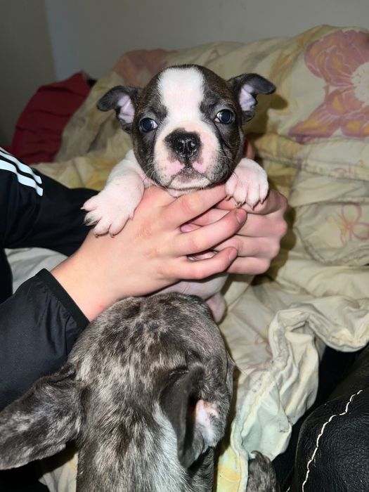 Търсим си любящи семейства