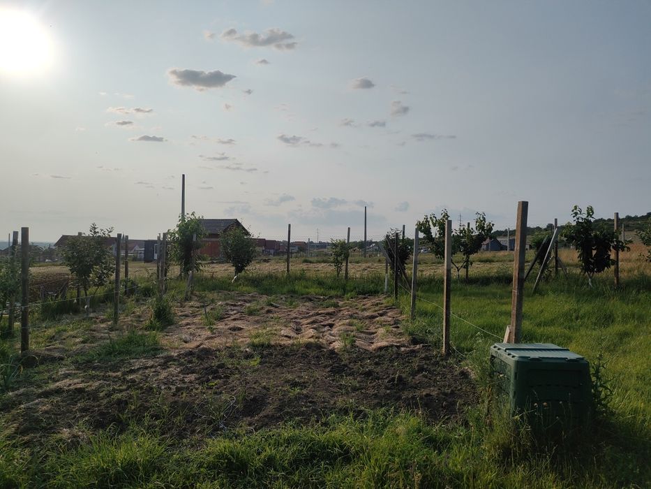Teren Betfia 500 m²