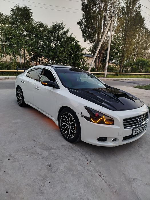Nissan maxima a 35 Amerika