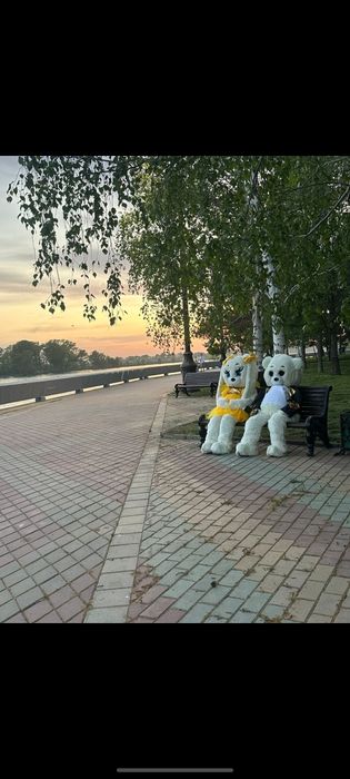 Продаются 2 мишки ,  почти новые
Новые