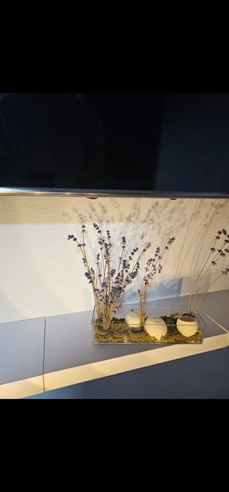 Aranjament plante criogenate